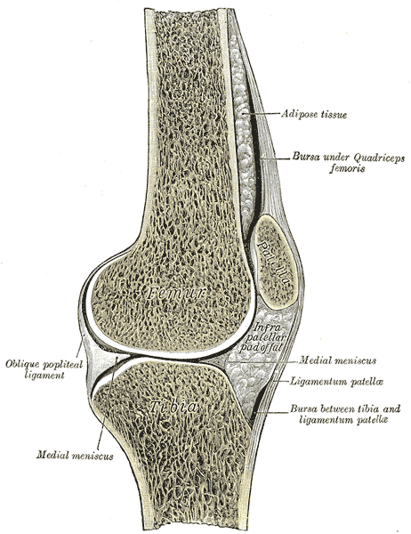 stem cell therapy ankle arthritis